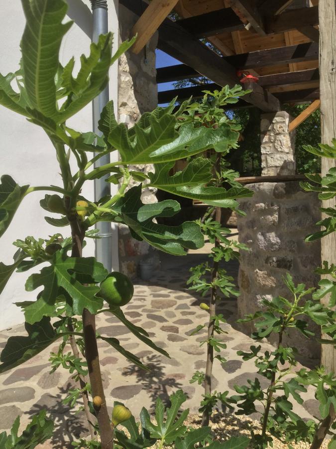 Vitamin B63 Vendeghaz 博尔多格克瓦劳尔尧 外观 照片